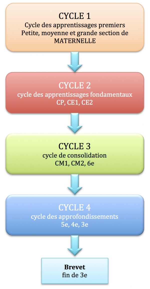 Cycles d’enseignement à l’école primaire et au collège – GPIM.info